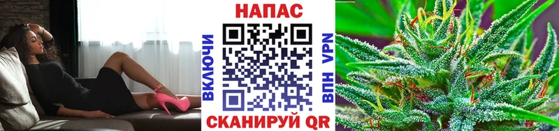 Бошки марихуана план  Губаха 
